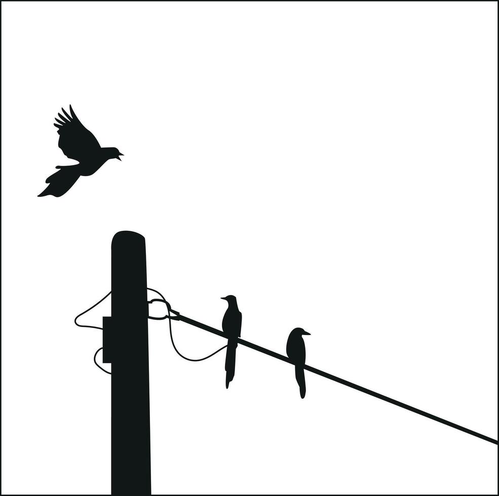 birds silhouette on electrical wires vector