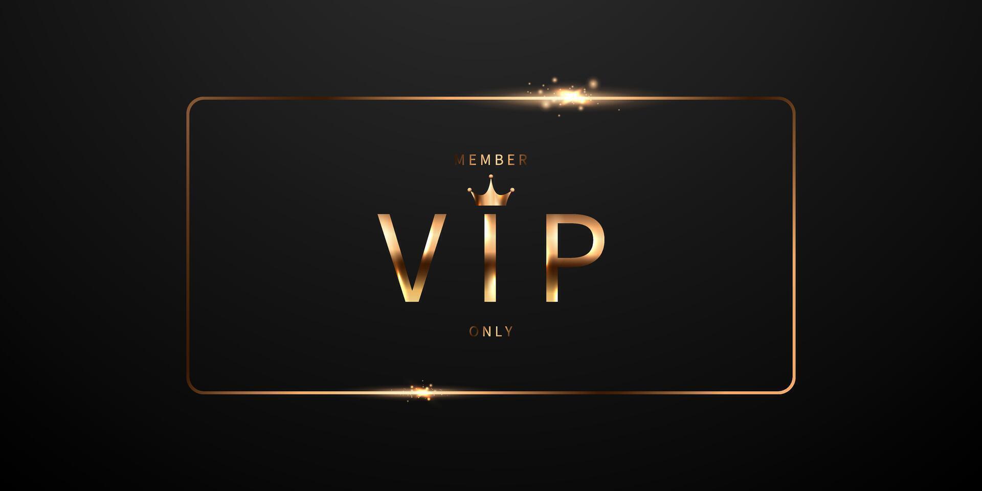 luxury design vip background vector illustration