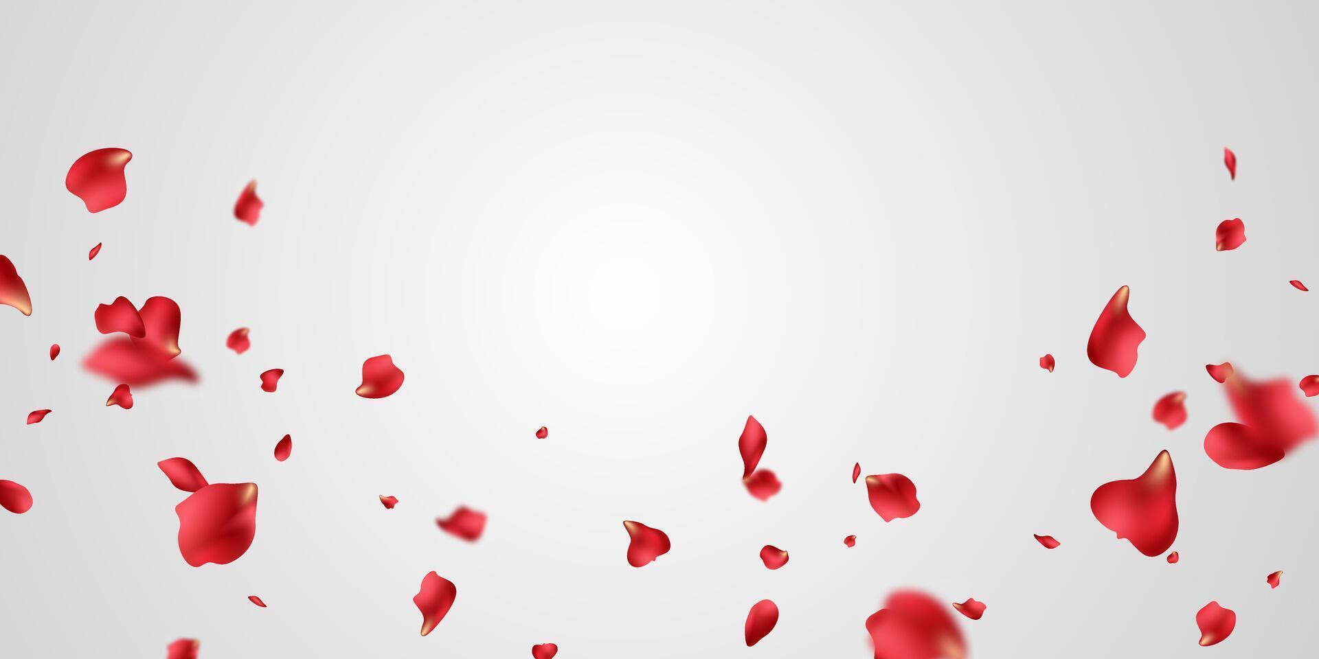Red rose petals will fall on abstract floral background with gorgeous rose petal greeting card design. vector