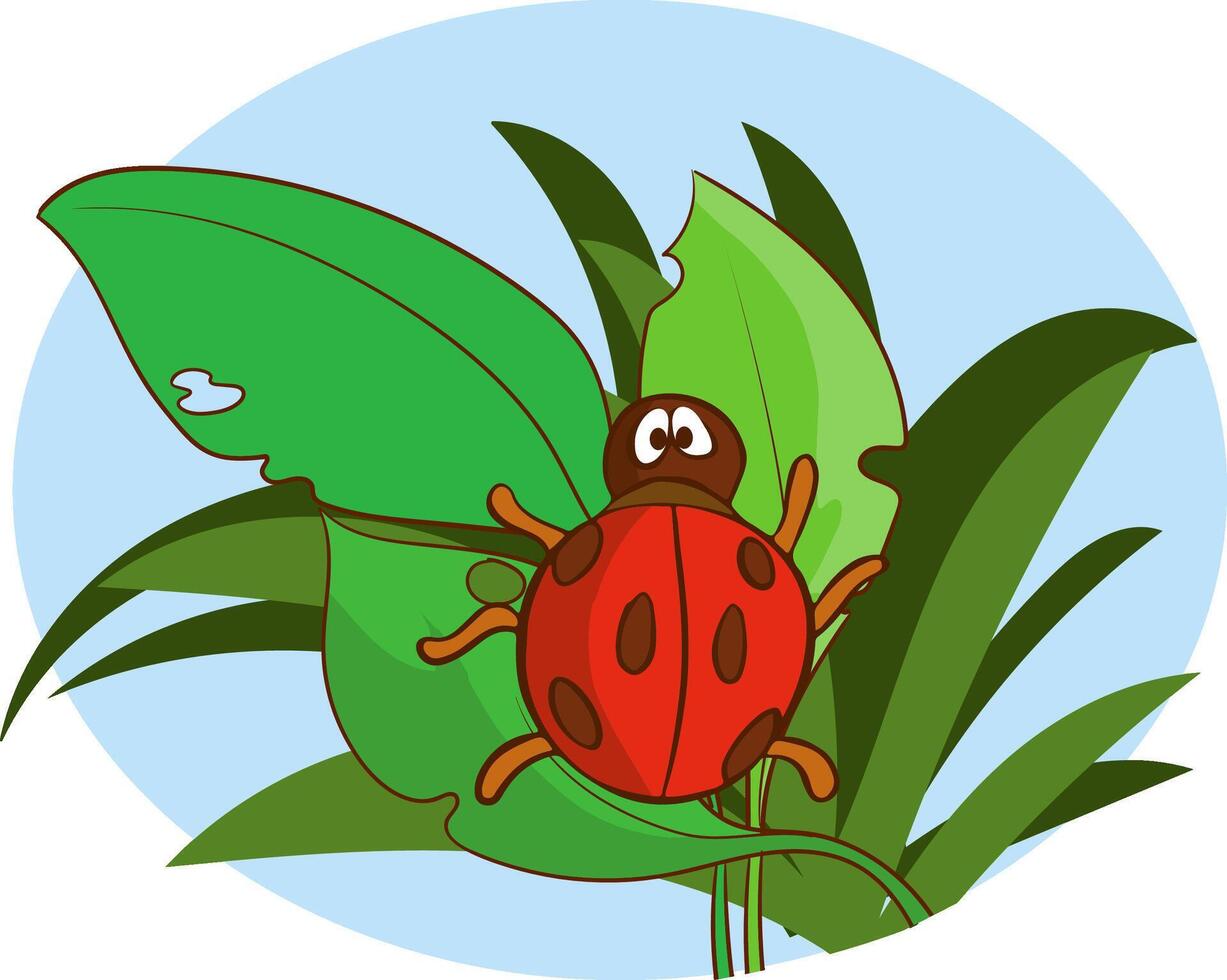 vector illustration of a cute ladybug