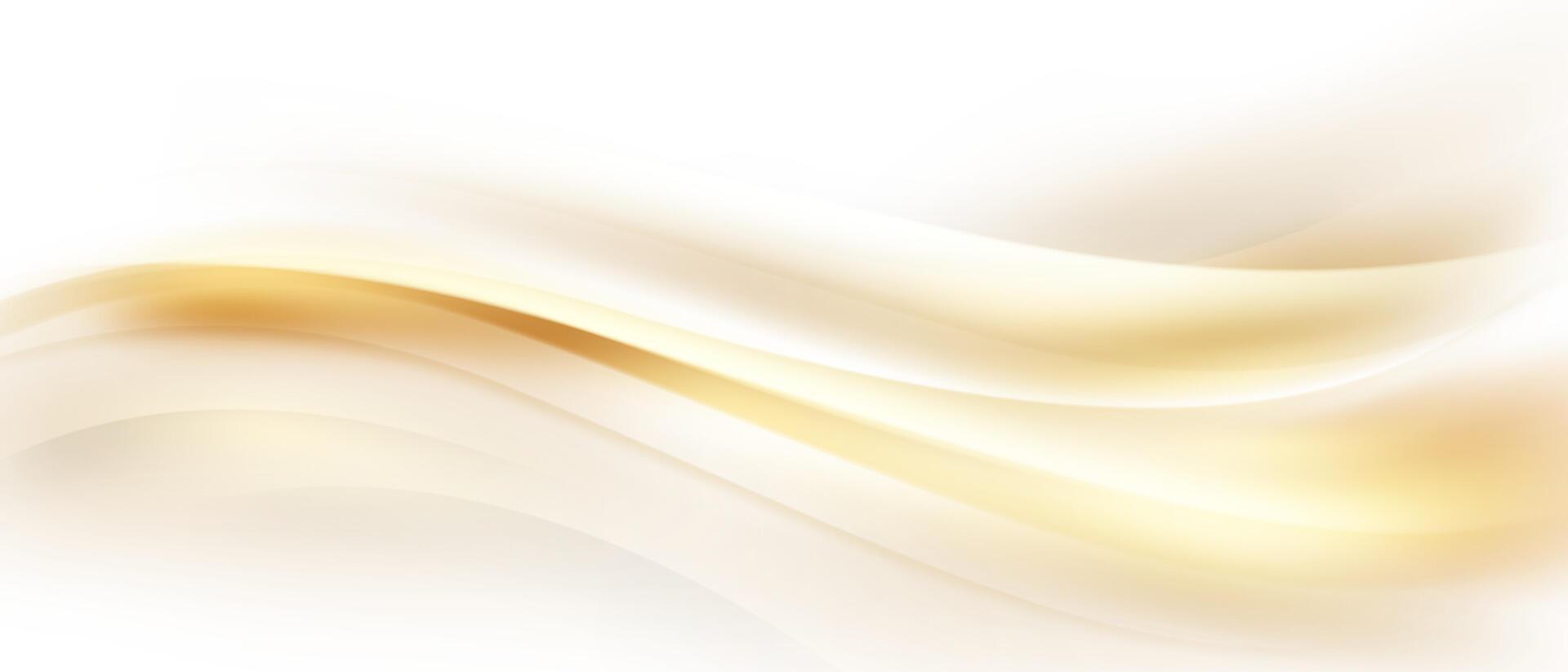 white luxury abstract background with golden elements vector illustration