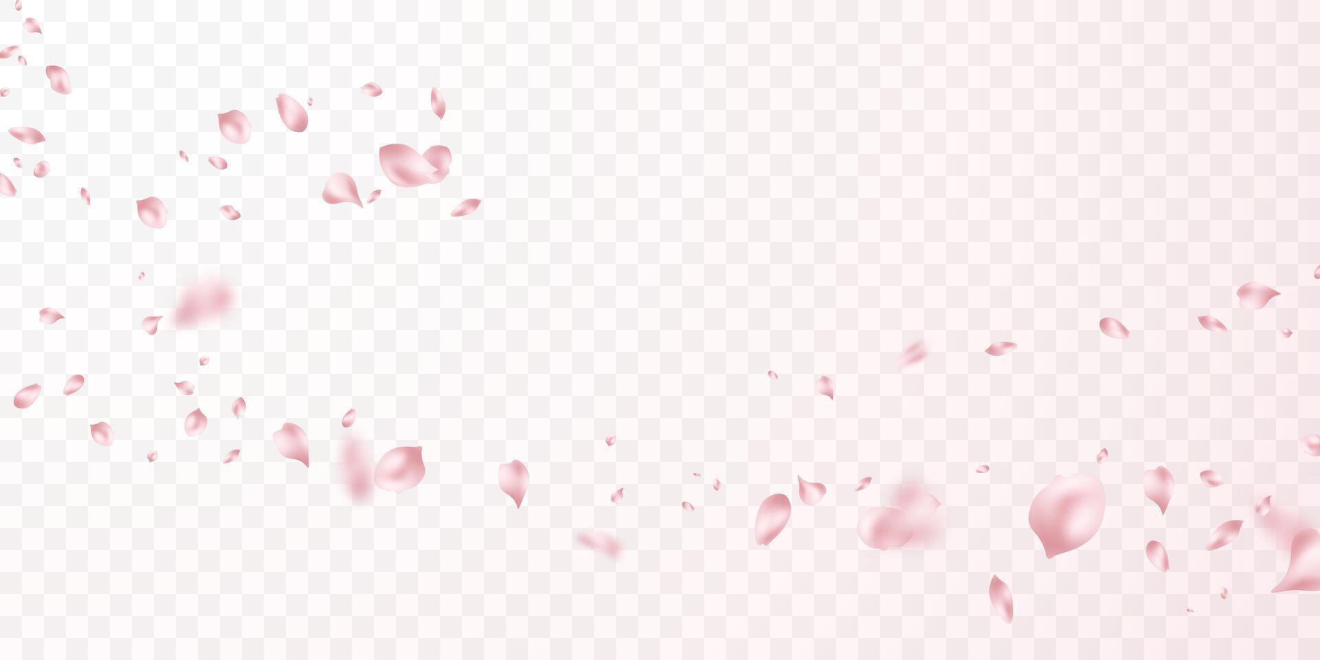 Pink rose petals fall on an abstract floral background with a beautiful rose petal greeting card design. vector