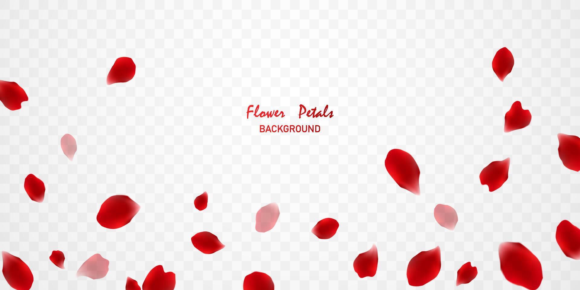 gorgeous red rose petals background virtual vector illustration