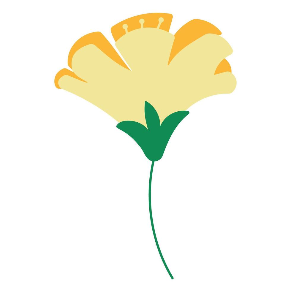 spring colored flowers for decoration and gift vector