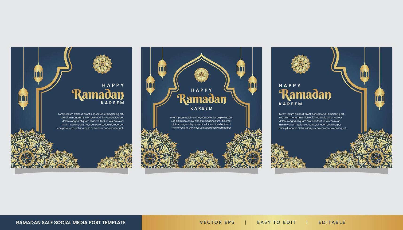 conjunto de Ramadán social medios de comunicación enviar modelo con mandala diseño vector