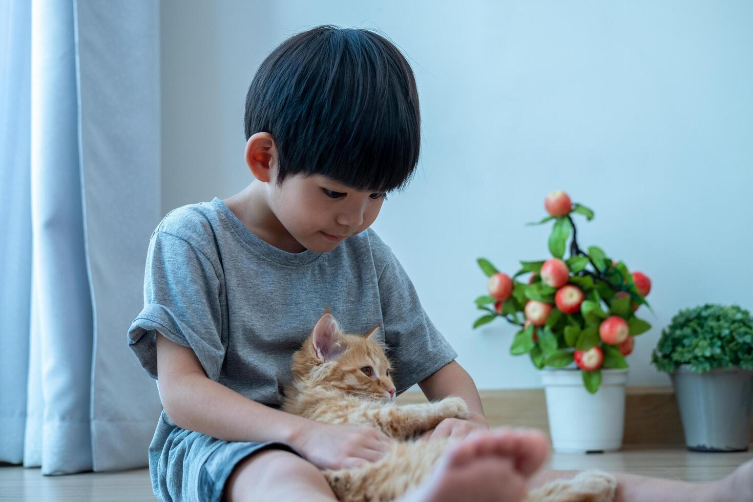 un pequeño asiático chico cariñosamente sostiene un naranja gatito. foto