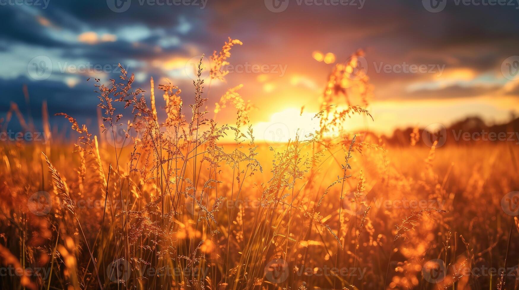 AI generated Sunset bathes a field of grass in golden hues, a tranquil nature tableau, Ai Generated. photo