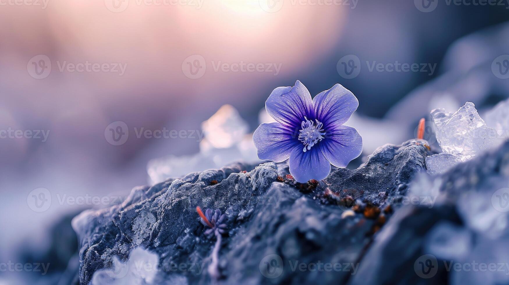 AI generated Delicate bloom defies harsh tundra, a resilient flower gracing rugged rock cliffs, Ai Generated. photo