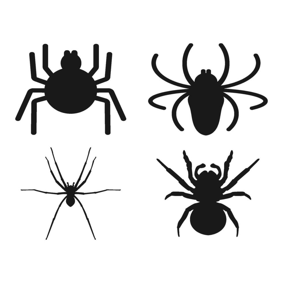 spider icon vector