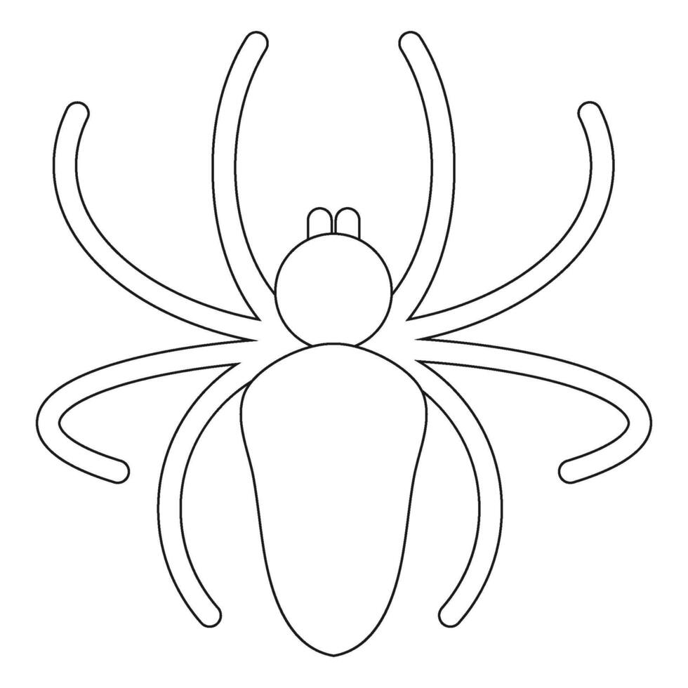 spider icon vector