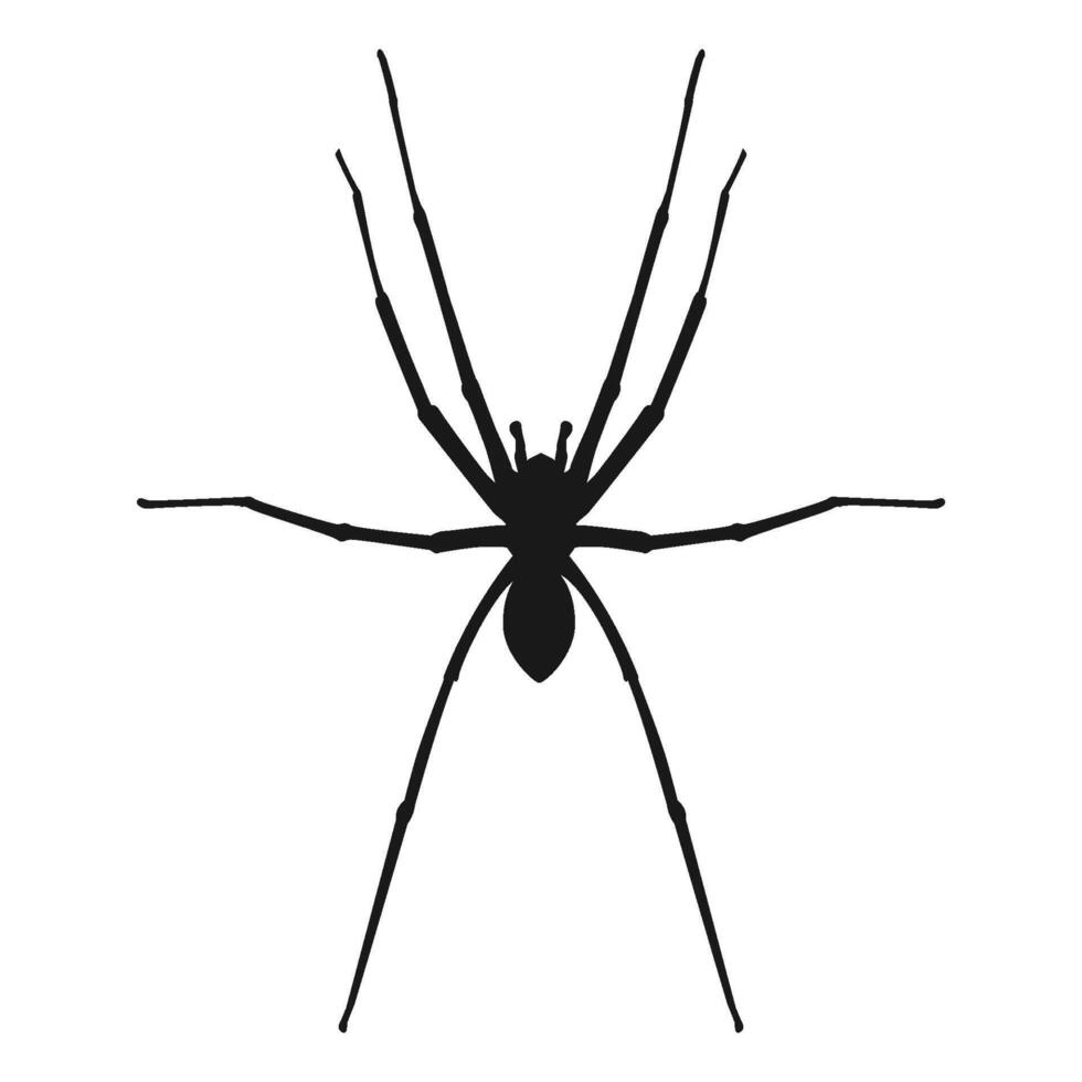 spider icon vector