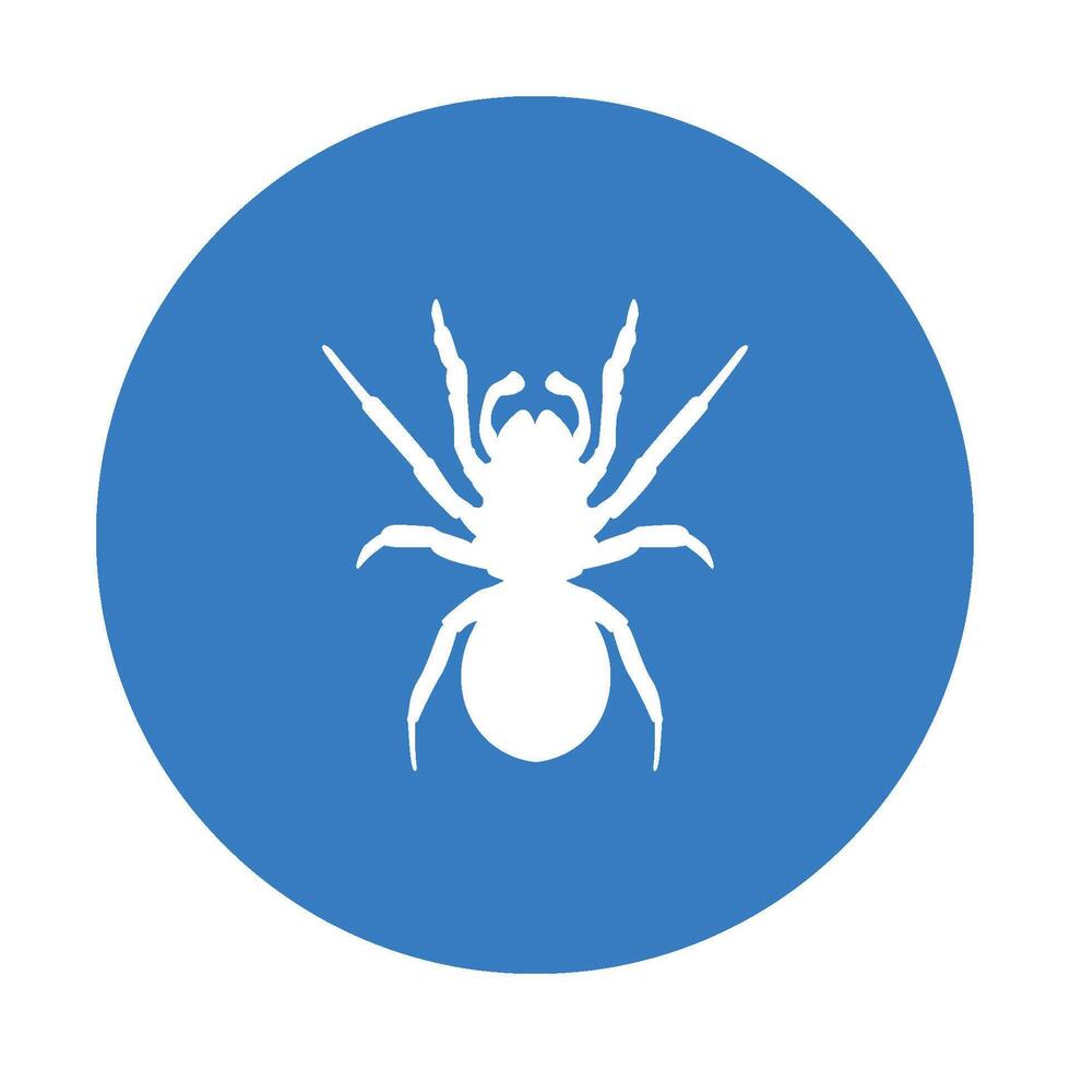spider icon vector