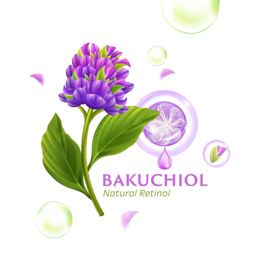 Bakuchio Serum Natural Retinol for Skin Care Cosmetic poster, banner design vector
