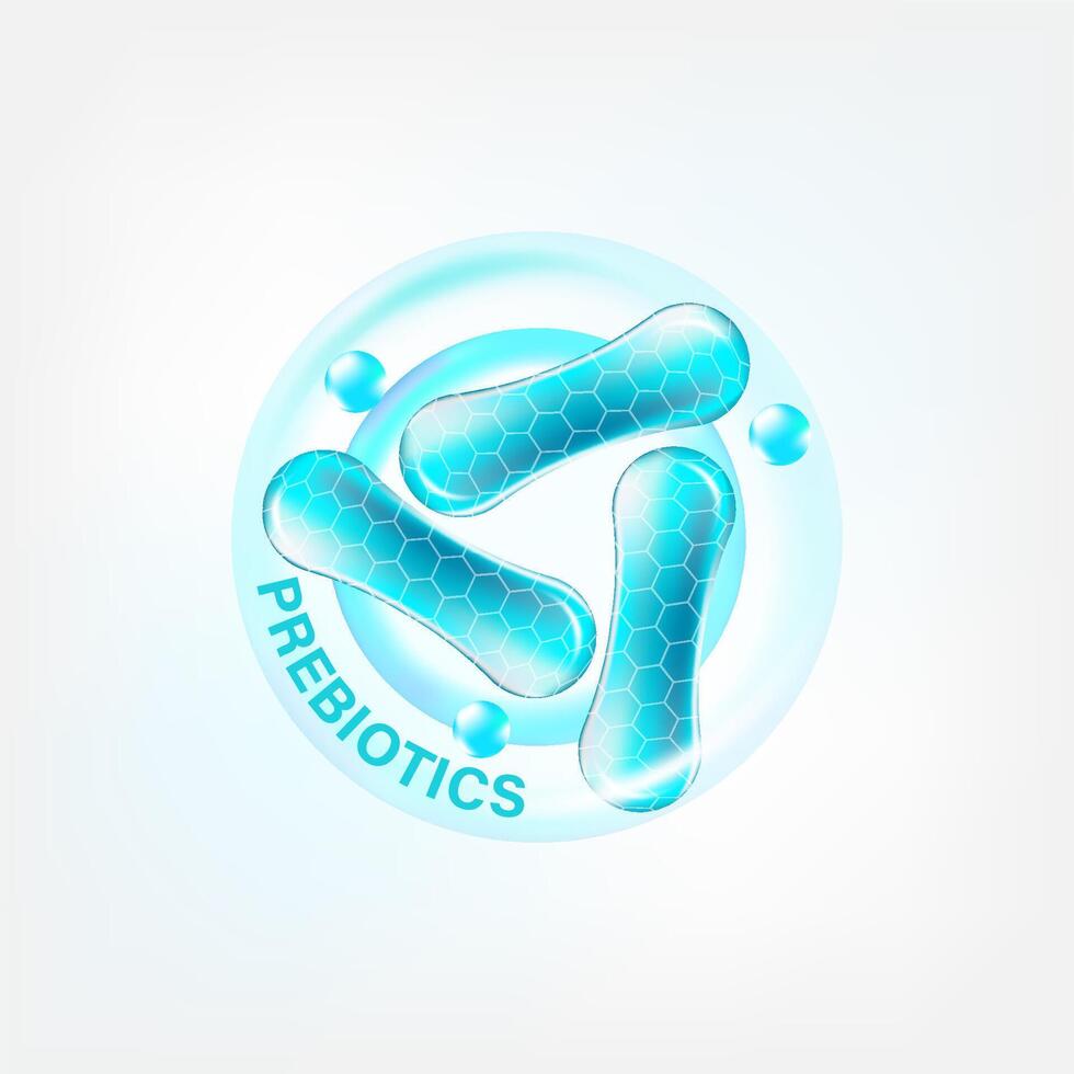 prebiótico comidas bueno bacterias vector ilustración.