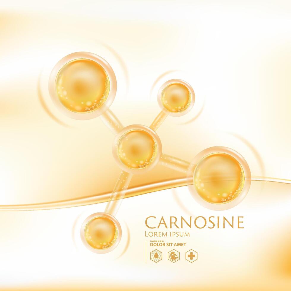 Carnosine Serum Skin Care Cosmetic 39656414 Vector Art at Vecteezy