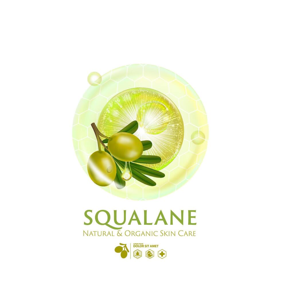 concept of squalane Serum Skin Care Cosmetic poster, banner design vector