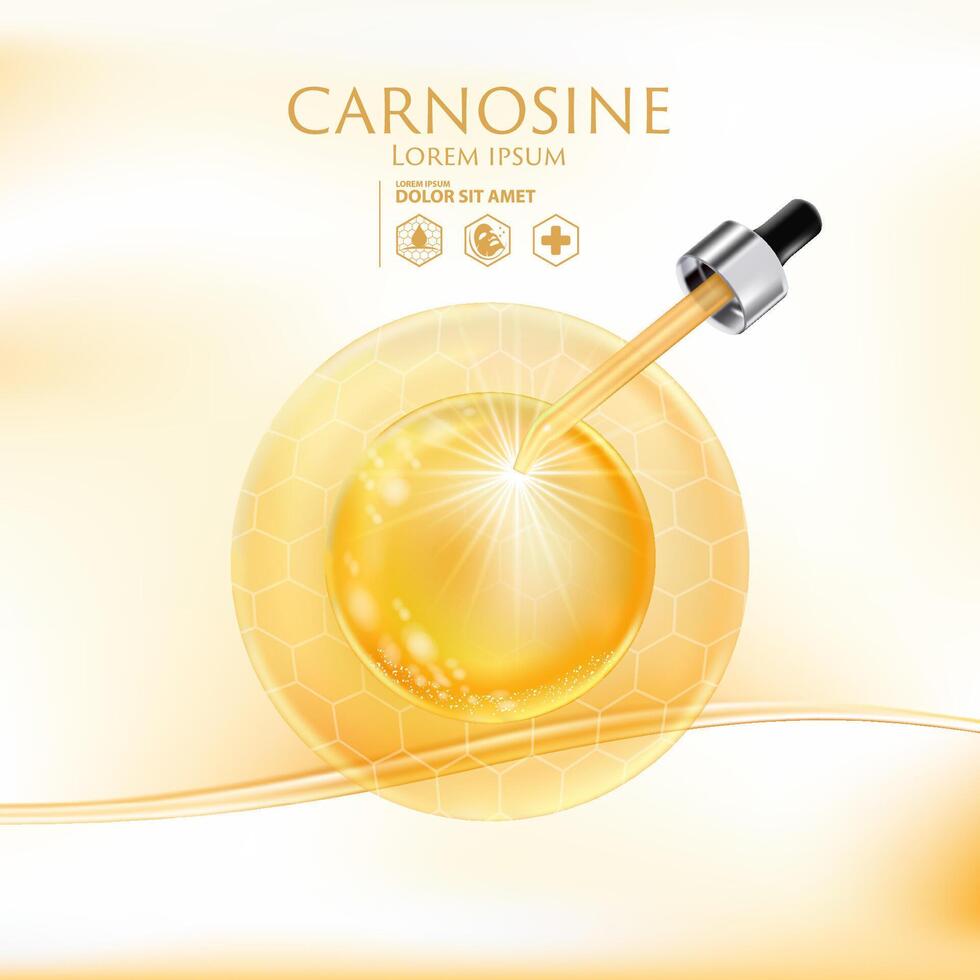Carnosine Serum Skin Care Cosmetic vector