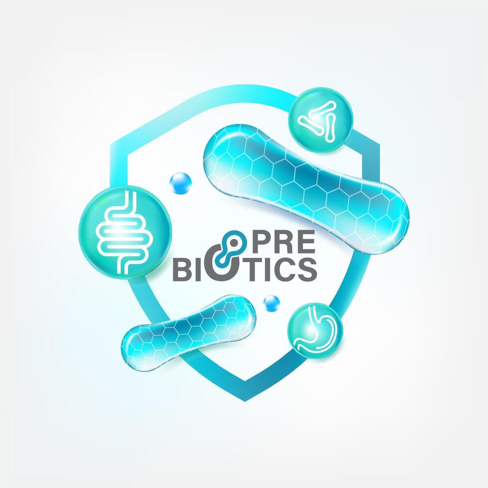 prebiótico comidas bueno bacterias vector ilustración.