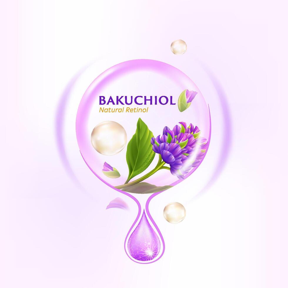 Bakuchio Serum Natural Retinol for Skin Care Cosmetic poster, banner design vector