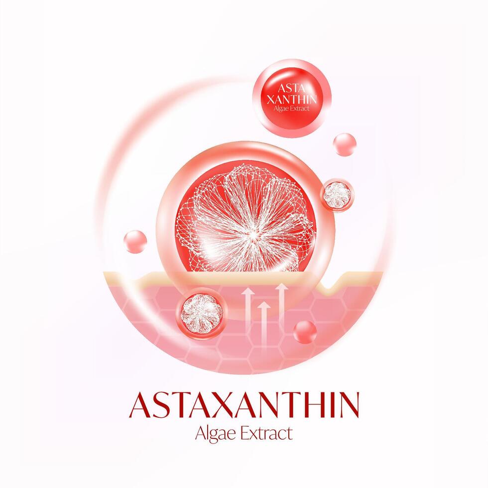 Astaxanthin Algae Extract serum Skin Care Cosmetic vector