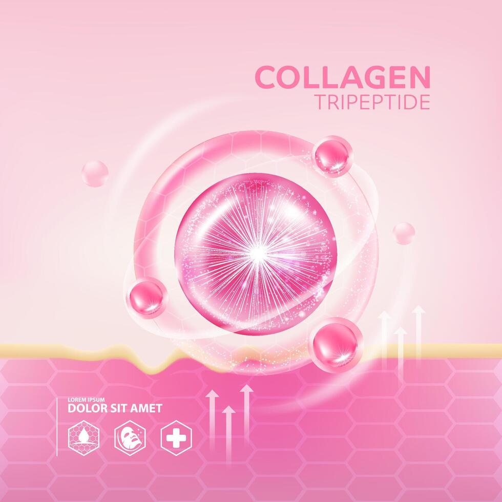 Collagen tripeptide Serum Skin Care Cosmetic vector