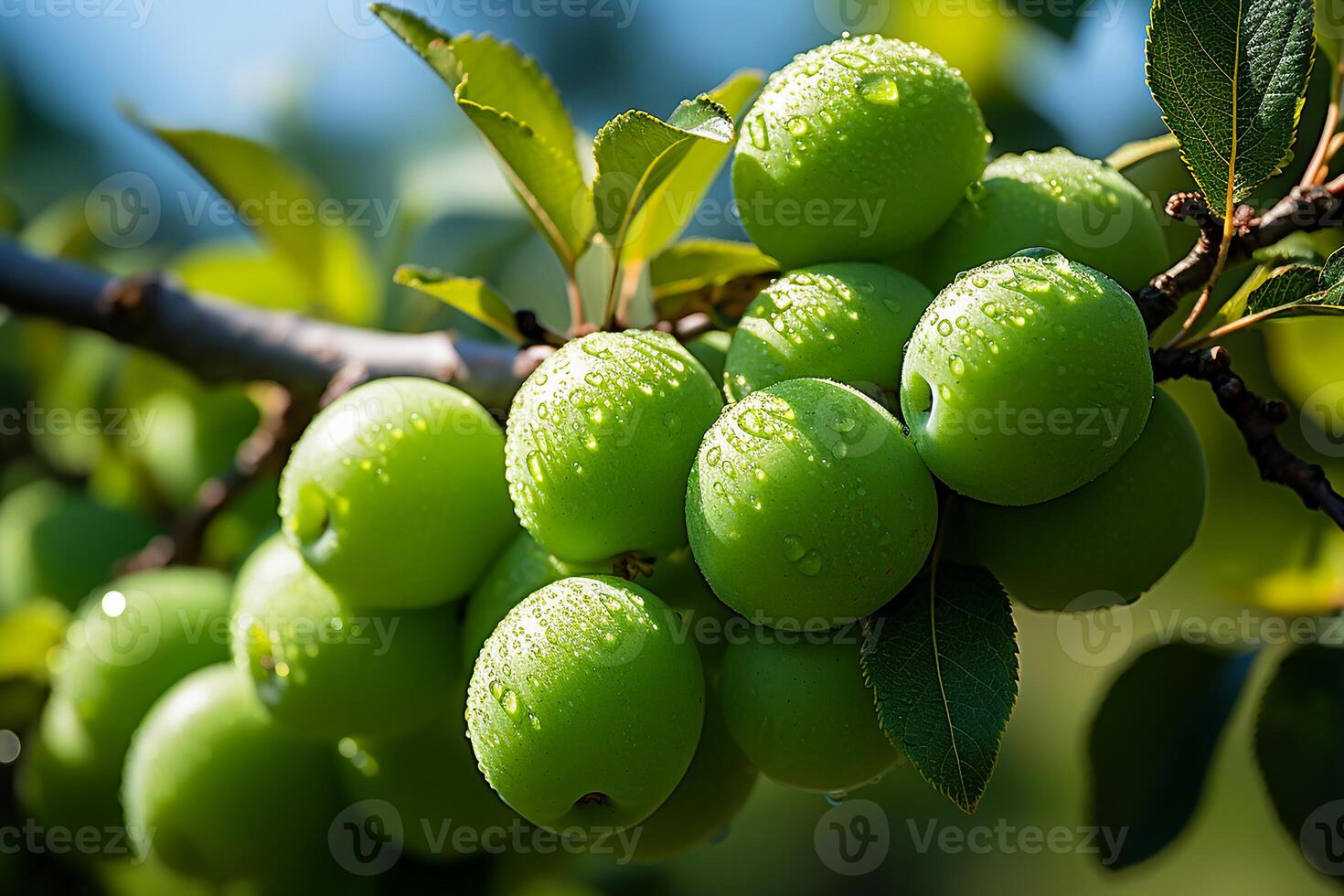 AI generated Fresh and wet plums on the tree.Close up view in sunlight photo
