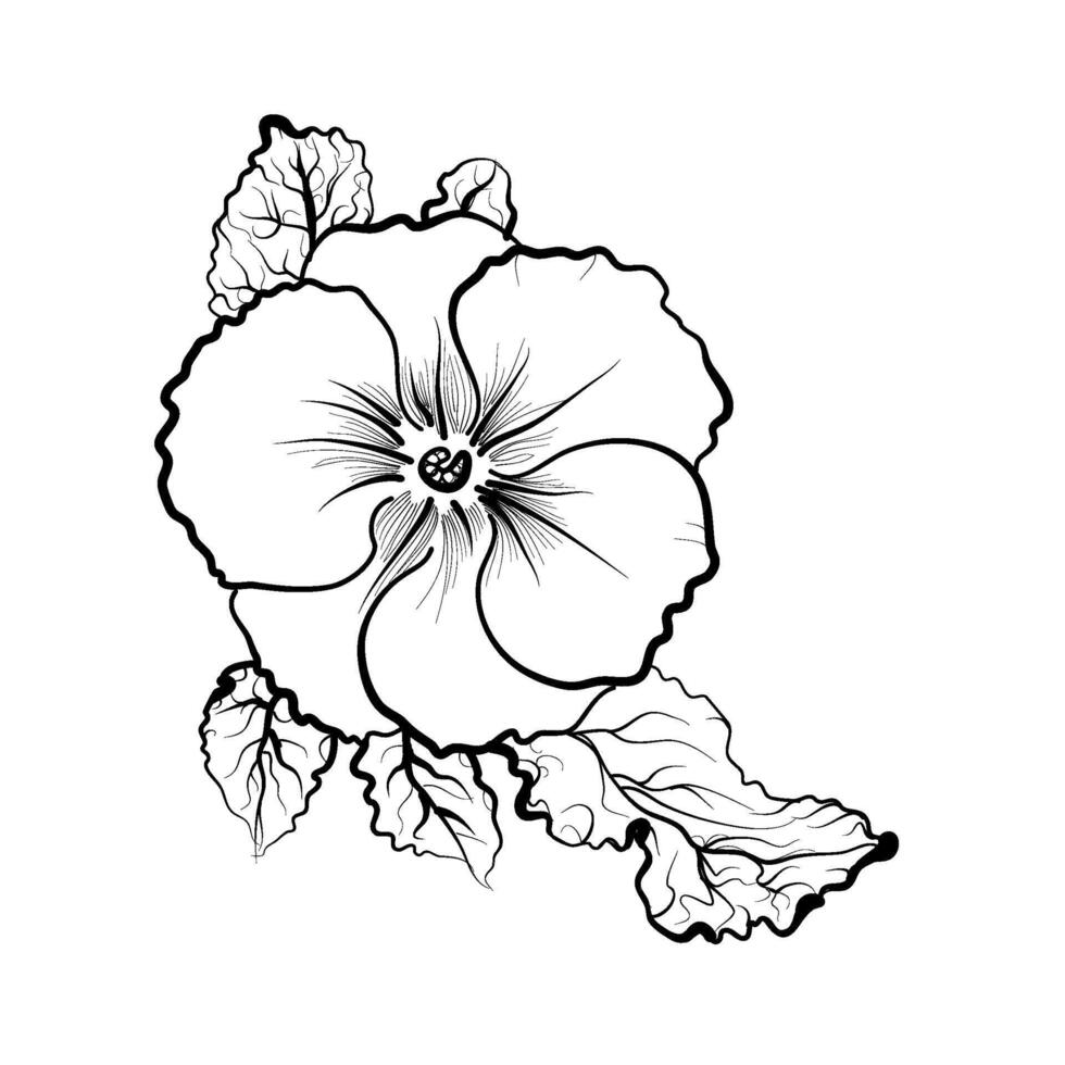 hand drawing of a primrose flower vector