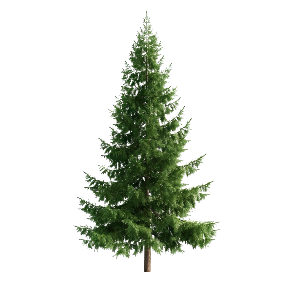 AI generated green pine trees on a transparent background png