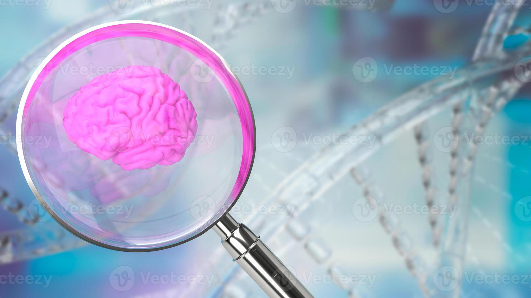 The magnifying glass and Brain for sci or medical. Concept 3d rendering. photo
