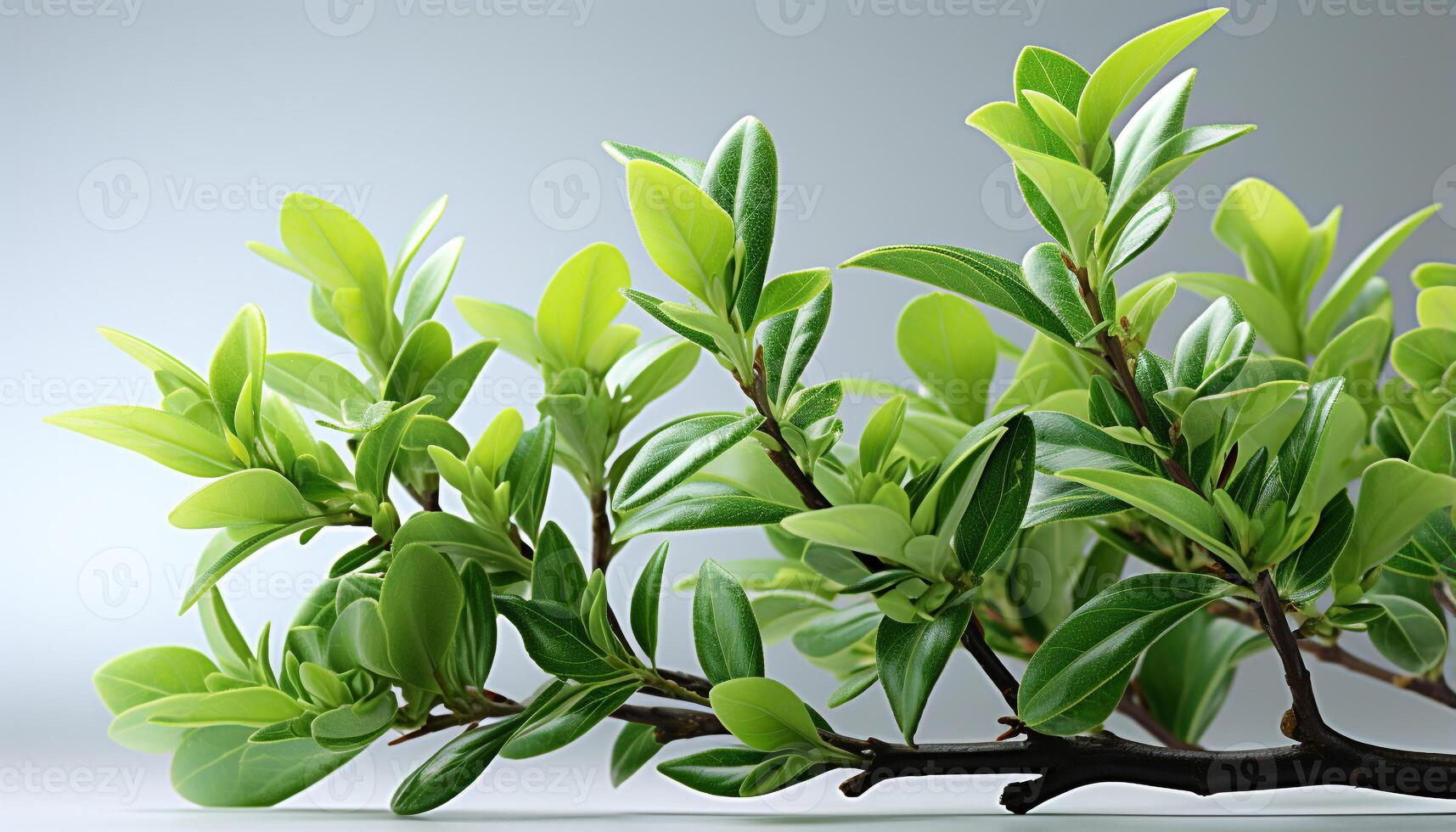 AI generated Fresh green leaves on a branch symbolize the growth of nature generated by AI photo