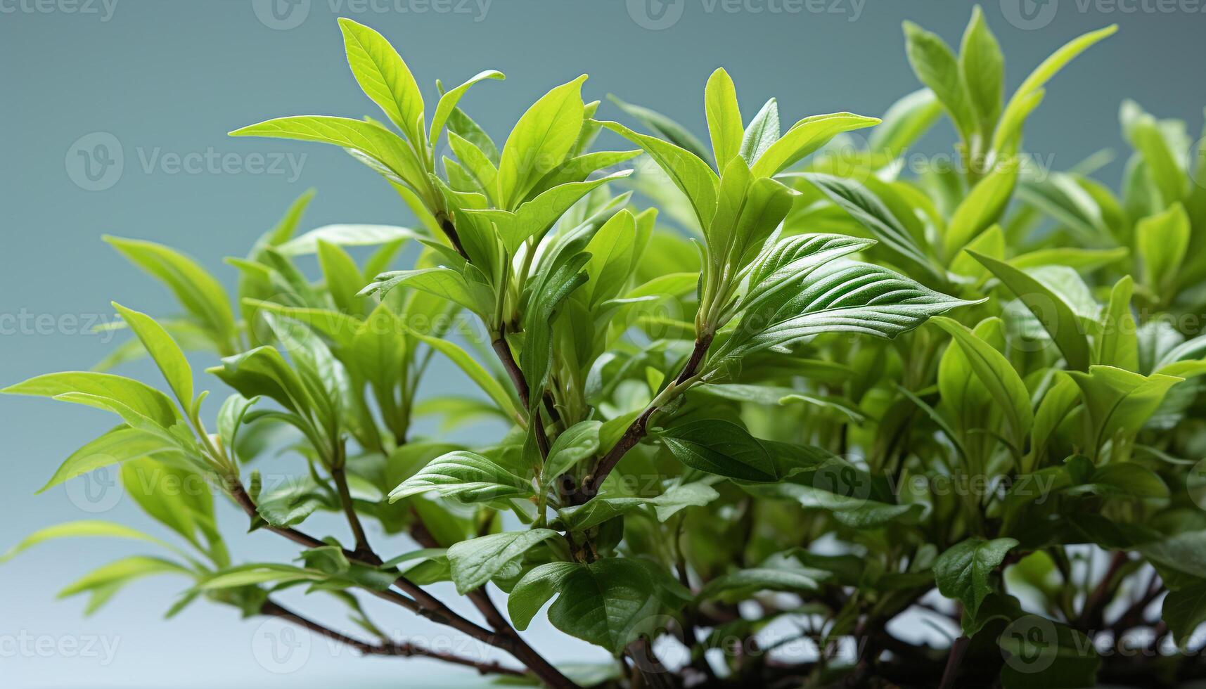 AI generated Fresh green leaves symbolize the beauty of nature in springtime generated by AI photo