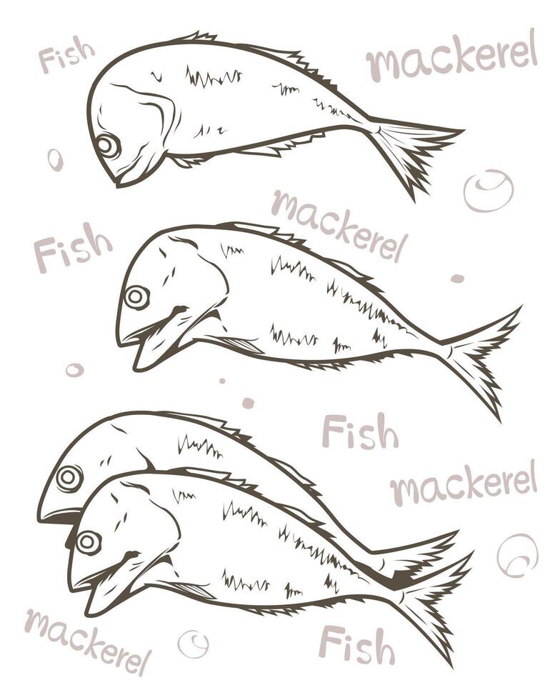 caballa pescado vector línea Arte ilustración