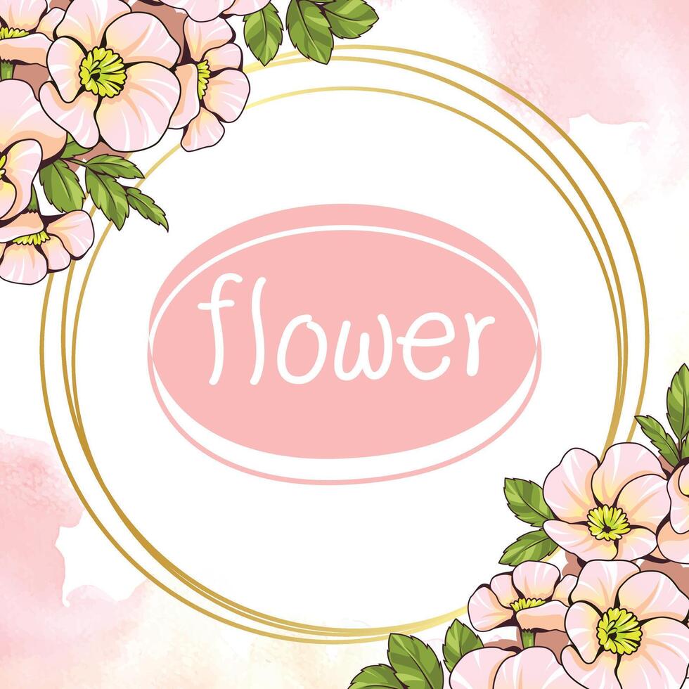 Bouquet of flower with gold frame vector