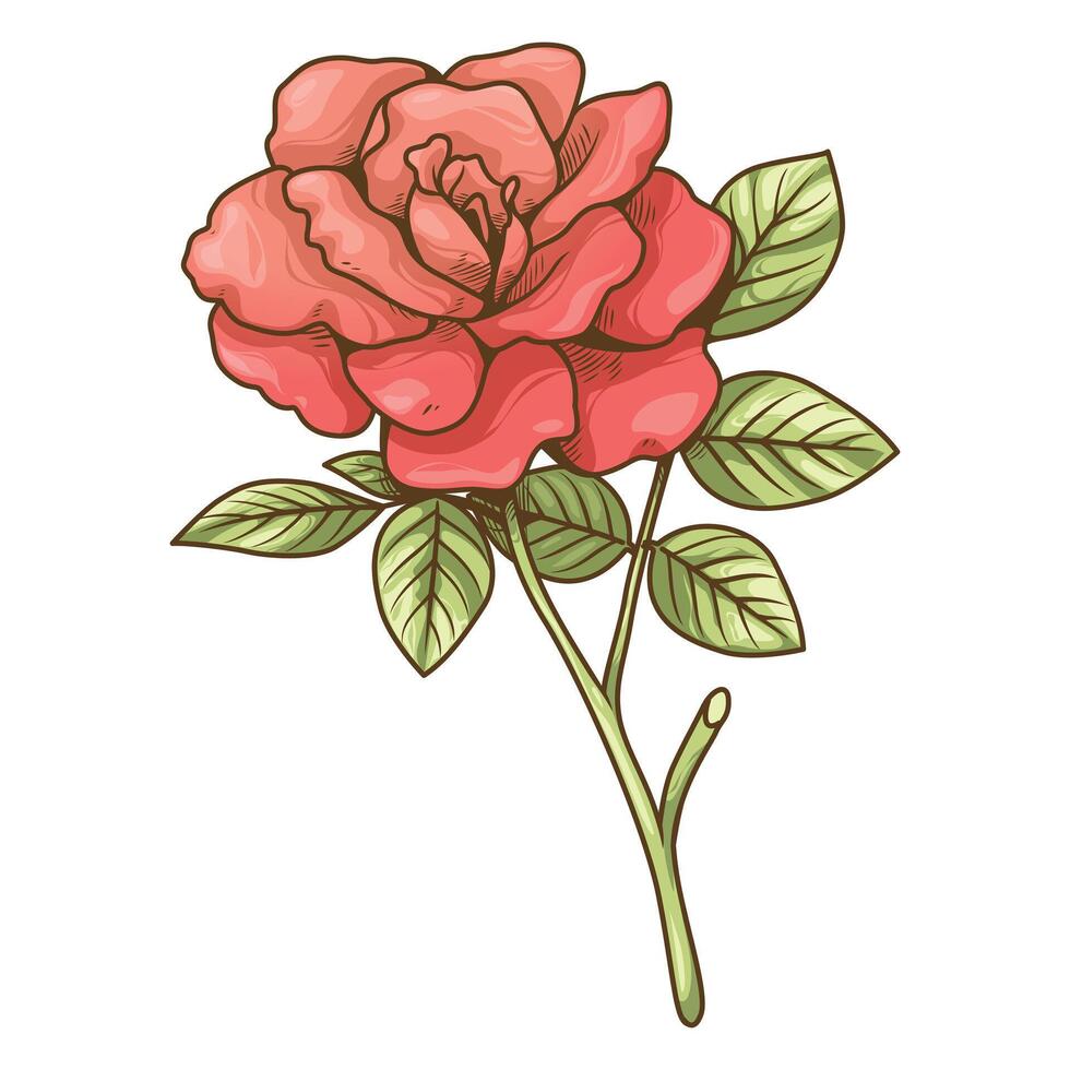 vector ilustración de Rosa y hoja vistoso