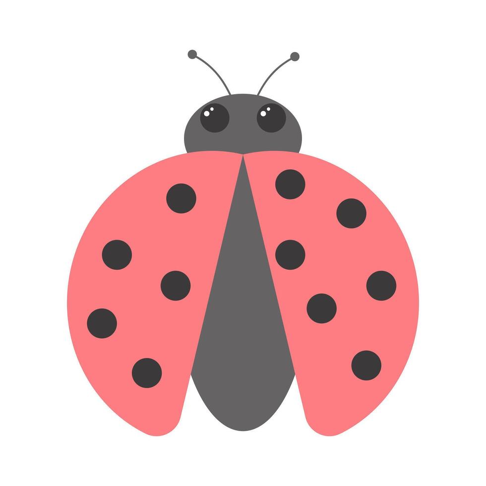 Ladybug. Cute ladybird character. Vector illustration isolated on white background.
