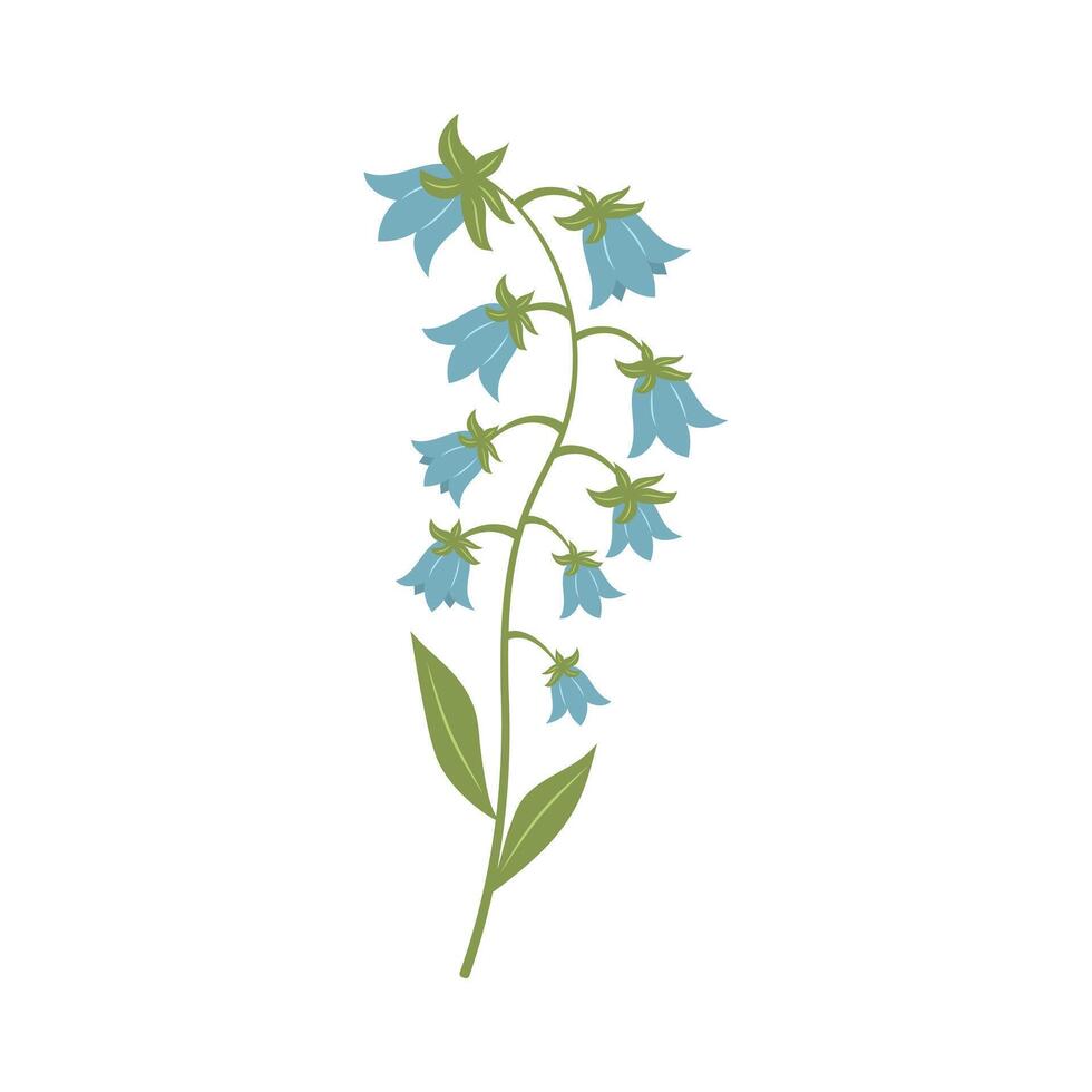 azul campanilla flores ramita de campanas vector ilustración aislado en blanco antecedentes.