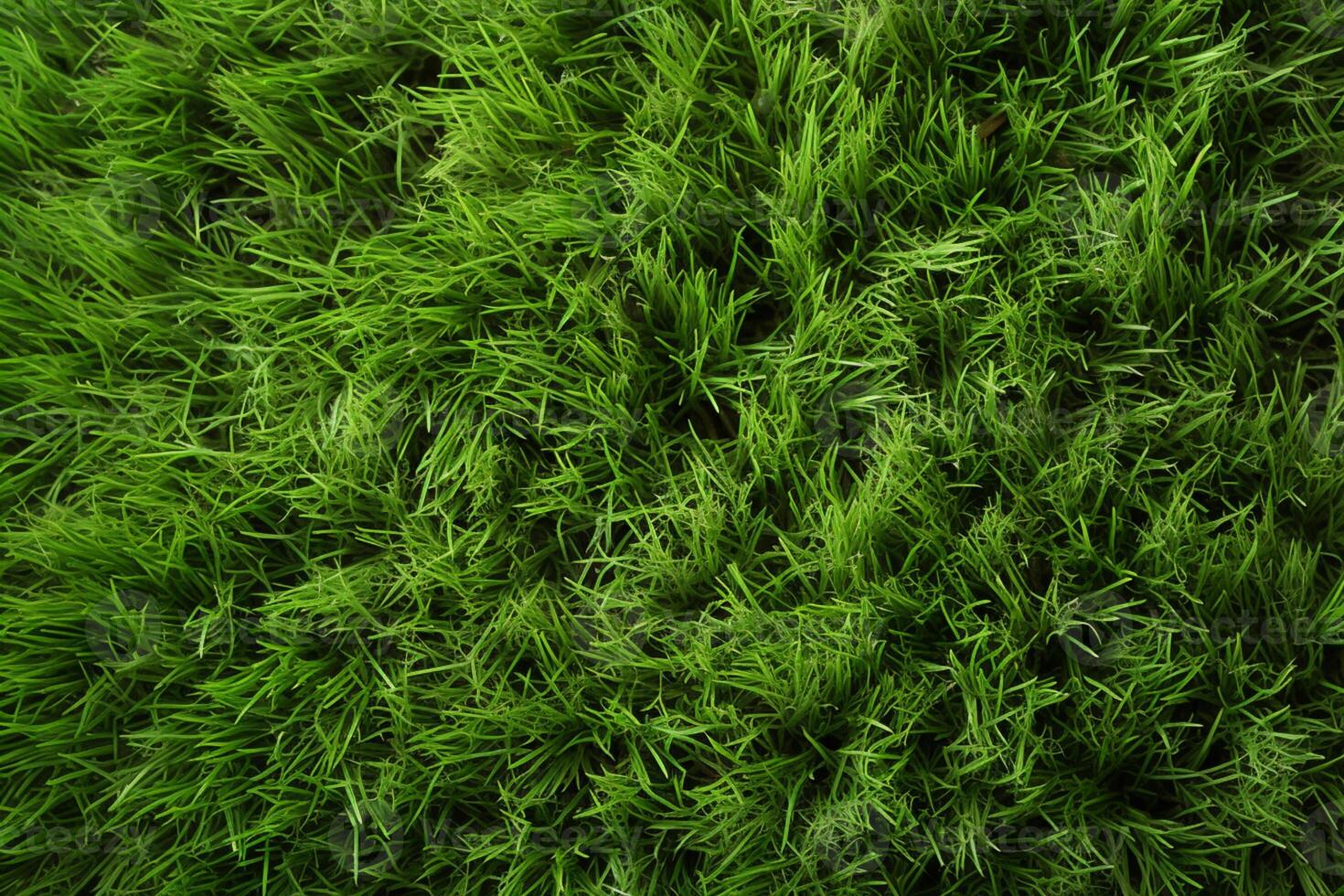 AI generated Photo Natures palette Abstract top view of green grass texture