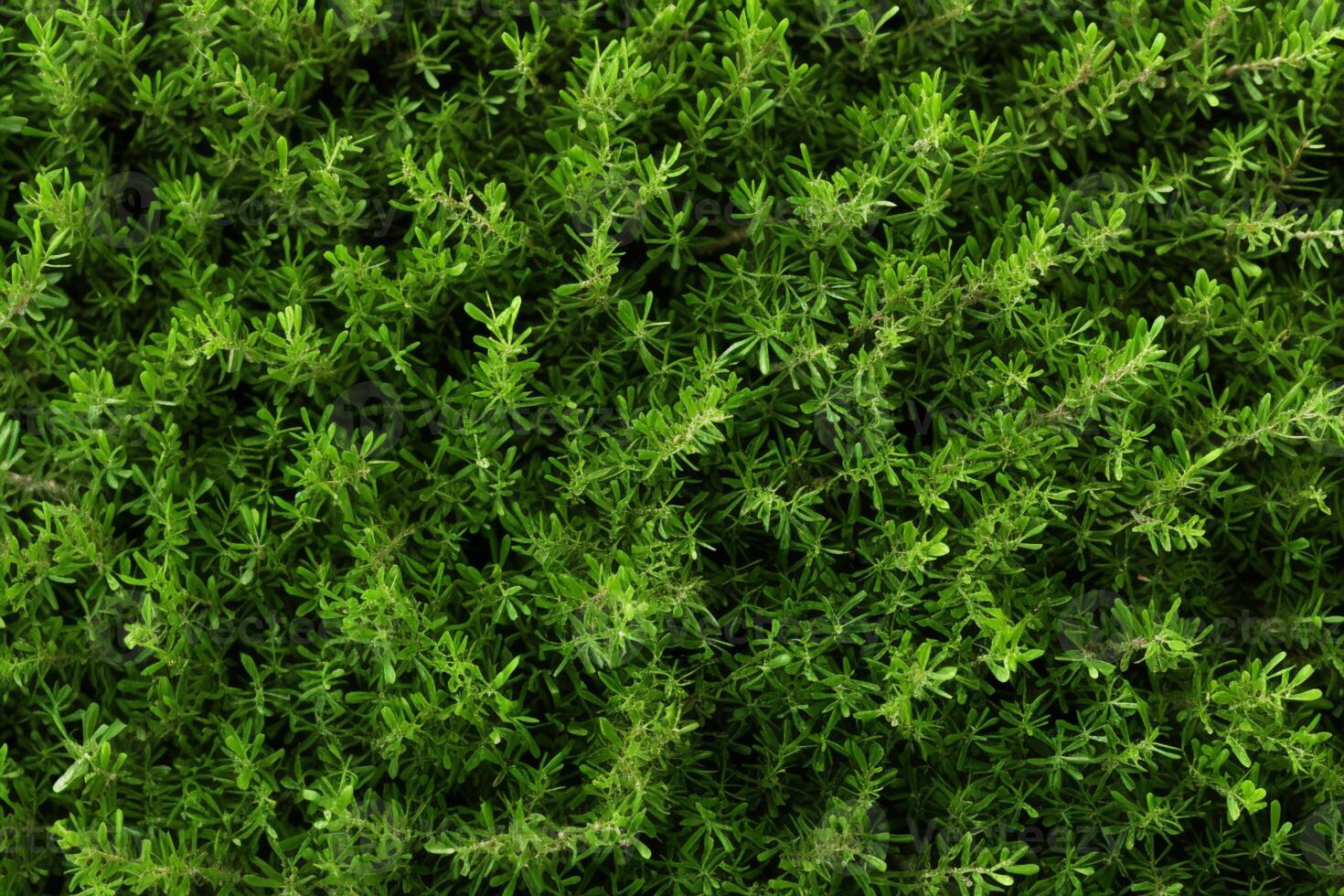 AI generated Versatile green background Abstract top view of textured grass backdrop photo
