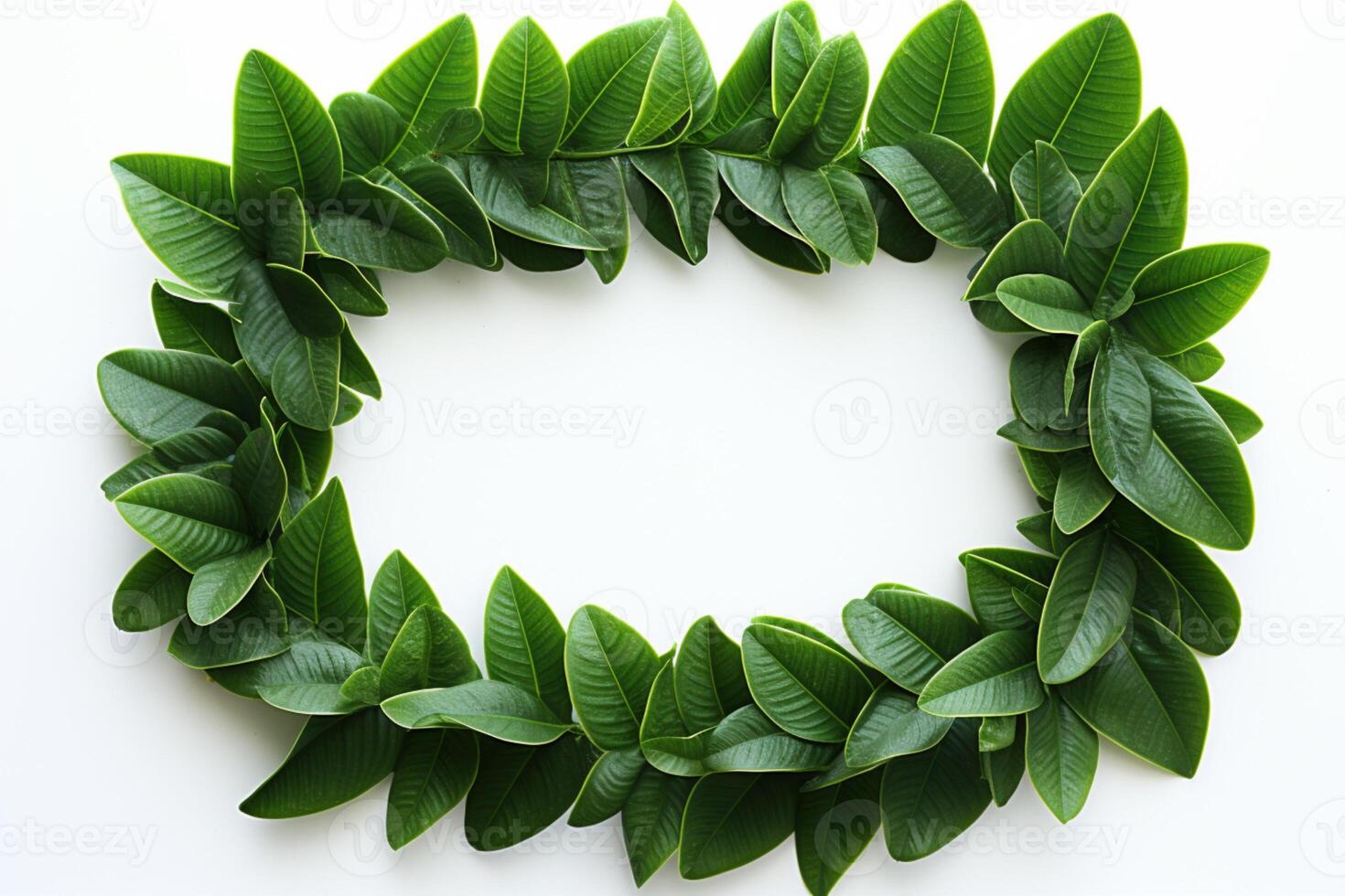 AI generated Leafy border beauty Green plumeria leaf frame on white background photo
