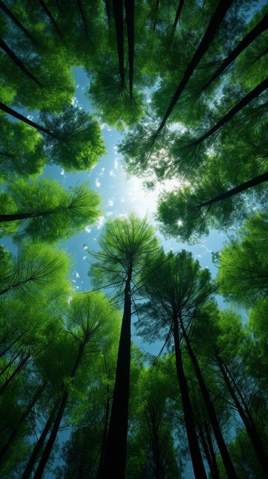 AI generated Natures sanctuary Forest trees viewed from below into the sky Vertical Mobile Wallpaper photo