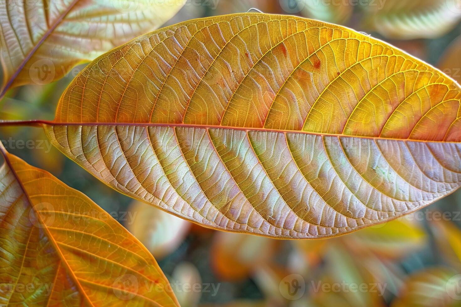 AI generated Brown young mango leaves, a serene and natural background photo