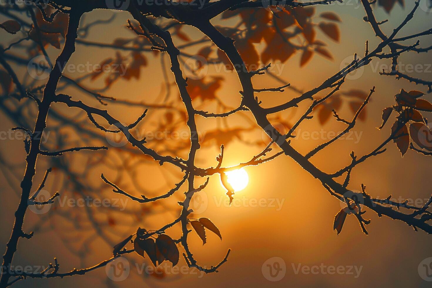 AI generated Sunlit tree branches silhouette, a serene autumn atmosphere captured photo