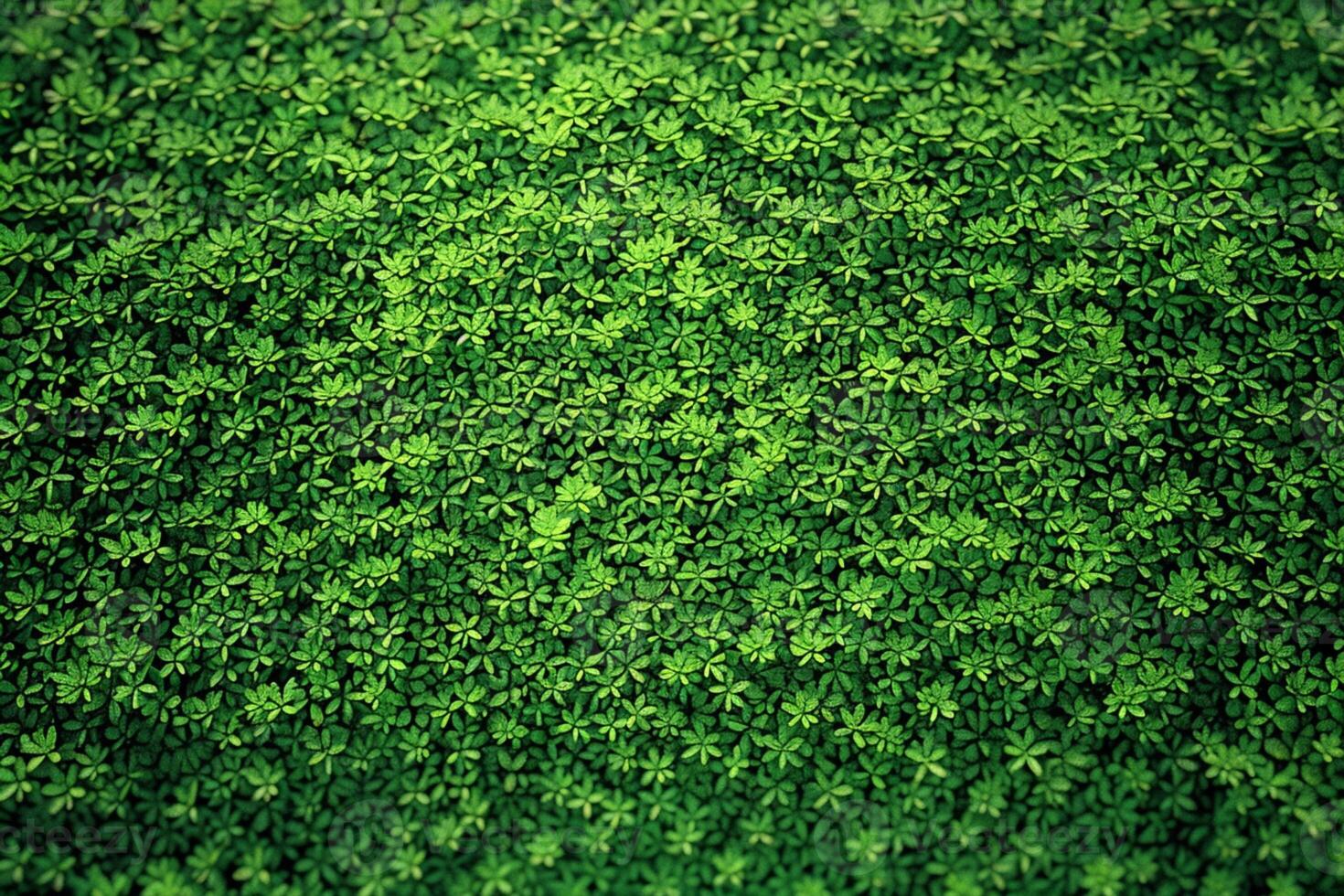 AI generated Background Top view of a fresh green lawn, 3D rendering photo
