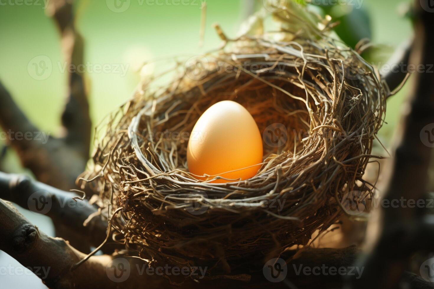 AI generated Symbol of beginnings Nest cradles a solitary, precious egg photo