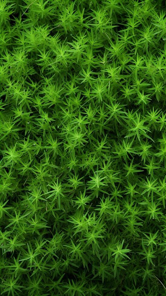 AI generated Photo Natures palette Abstract top view of green grass texture Vertical Mobile Wallpaper