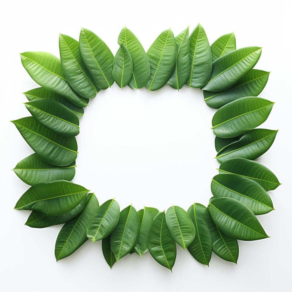 AI generated Wholesome frame Green plumeria leaf border isolated on white background For Social Media Post Size photo