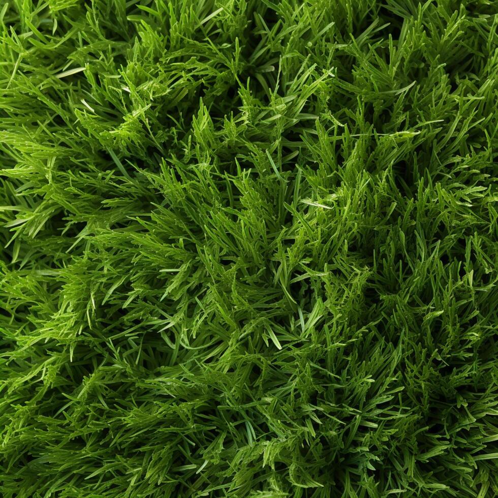 AI generated Versatile green background Abstract top view of textured grass backdrop For Social Media Post Size photo