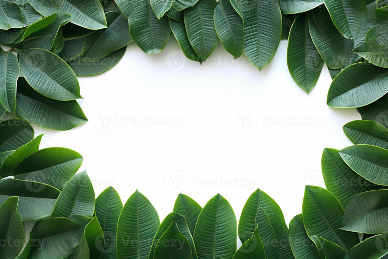 AI generated Leafy border beauty Green plumeria leaf frame on white background photo