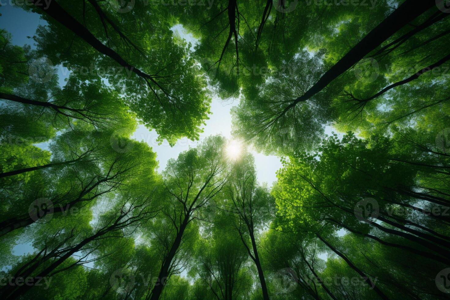 AI generated Natures sanctuary Forest trees viewed from below into the sky photo