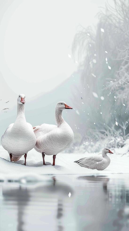 ai generado Nevado congregación nieve gansos reunir en un nieve cubierto antecedentes vertical móvil fondo de pantalla foto